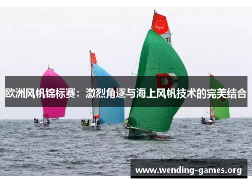 欧洲风帆锦标赛:激烈角逐与海上风帆技术的完美结合 欧洲风帆锦标赛:激烈角逐与海上风帆技术的完美结合