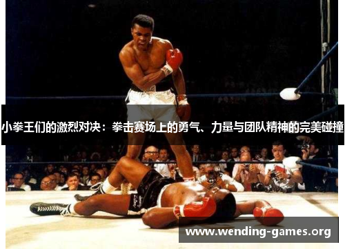 小拳王们的激烈对决:拳击赛场上的勇气、力量与团队精神的完美碰撞 小拳王们的激烈对决:拳击赛场上的勇气、力量与团队精神的完美碰撞