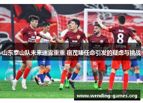 山东泰山队未来迷雾重重 宿茂臻任命引发的疑虑与挑战 山东泰山队未来迷雾重重 宿茂臻任命引发的疑虑与挑战