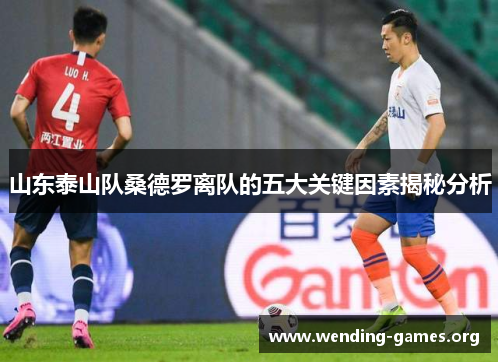 山东泰山队桑德罗离队的五大关键因素揭秘分析 山东泰山队桑德罗离队的五大关键因素揭秘分析