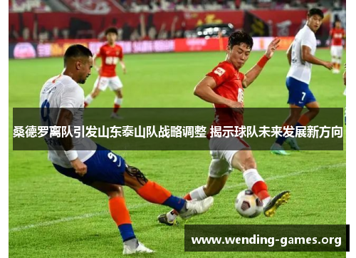 桑德罗离队引发山东泰山队战略调整 揭示球队未来发展新方向 桑德罗离队引发山东泰山队战略调整 揭示球队未来发展新方向