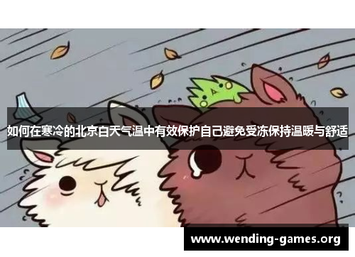 如何在寒冷的北京白天气温中有效保护自己避免受冻保持温暖与舒适 如何在寒冷的北京白天气温中有效保护自己避免受冻保持温暖与舒适