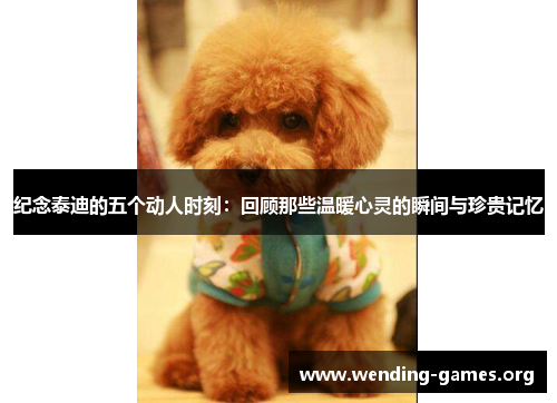 纪念泰迪的五个动人时刻:回顾那些温暖心灵的瞬间与珍贵记忆 纪念泰迪的五个动人时刻:回顾那些温暖心灵的瞬间与珍贵记忆