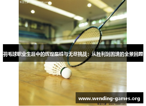 羽毛球职业生涯中的辉煌巅峰与无尽挑战:从胜利到困境的全景回顾 羽毛球职业生涯中的辉煌巅峰与无尽挑战:从胜利到困境的全景回顾